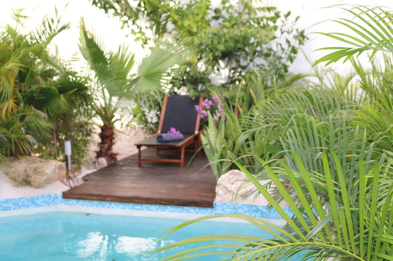 New House Tropic Paradise With Pool Willemstad Zewnętrze zdjęcie