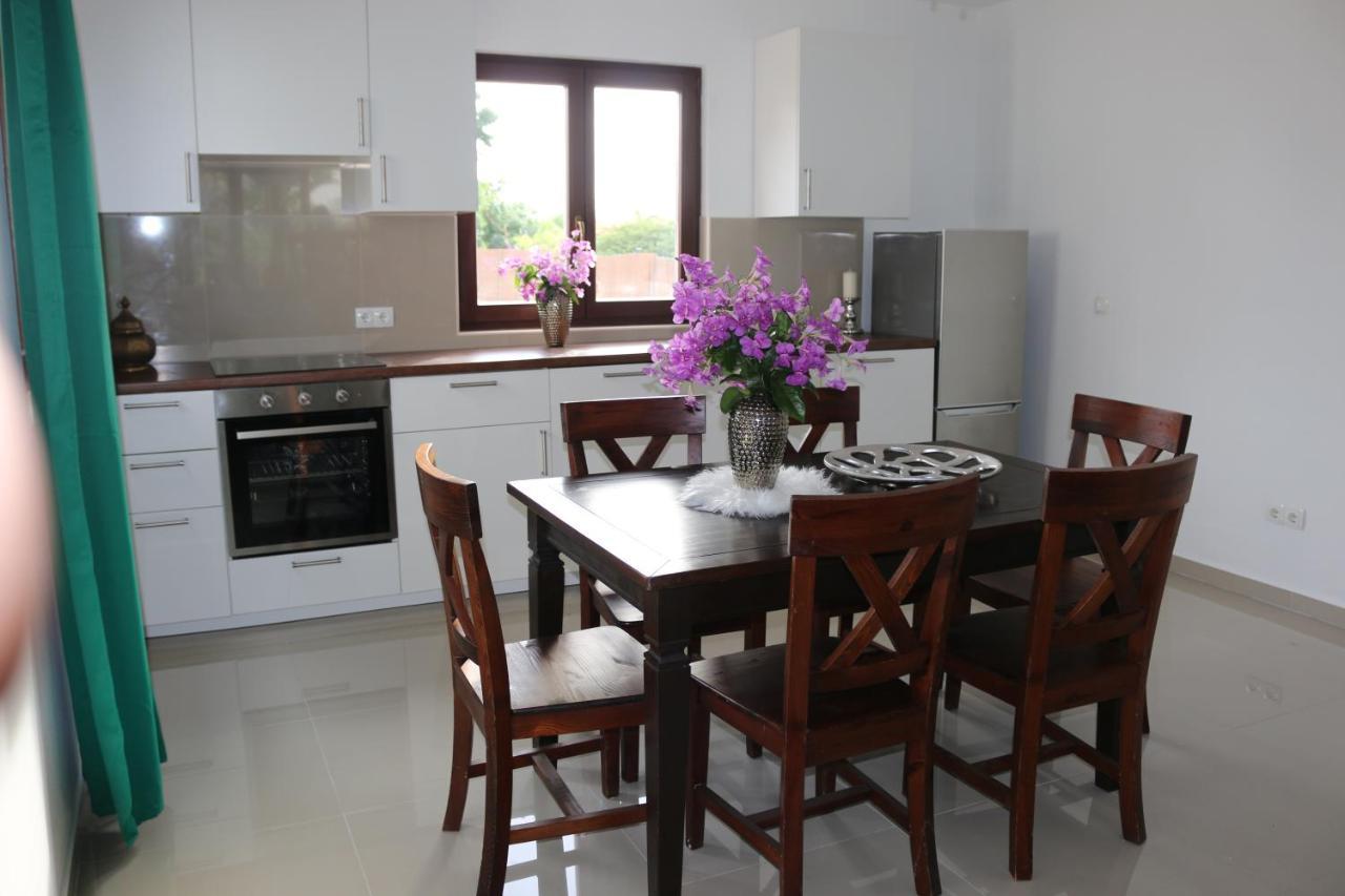 New House Tropic Paradise With Pool Willemstad Zewnętrze zdjęcie