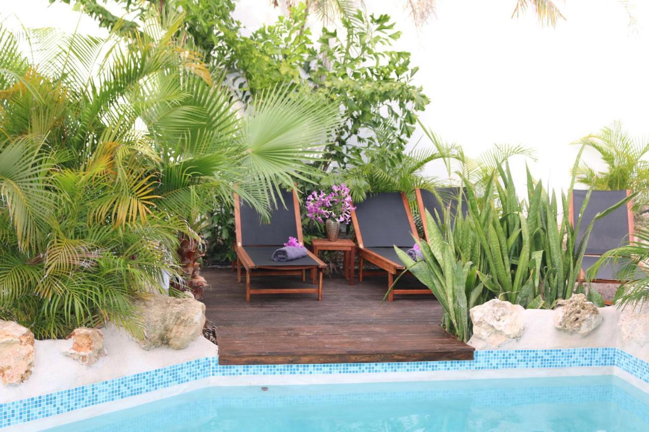 New House Tropic Paradise With Pool Willemstad Zewnętrze zdjęcie