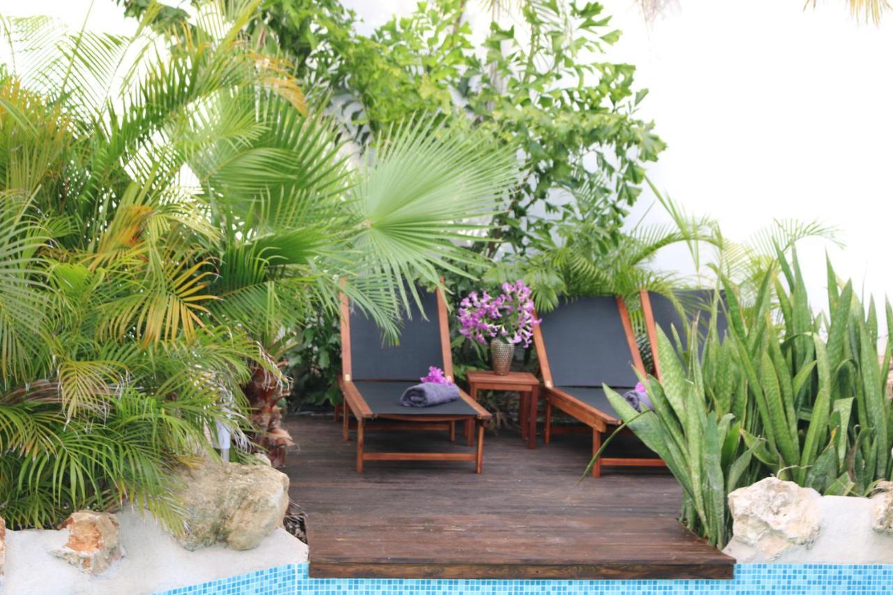 New House Tropic Paradise With Pool Willemstad Zewnętrze zdjęcie