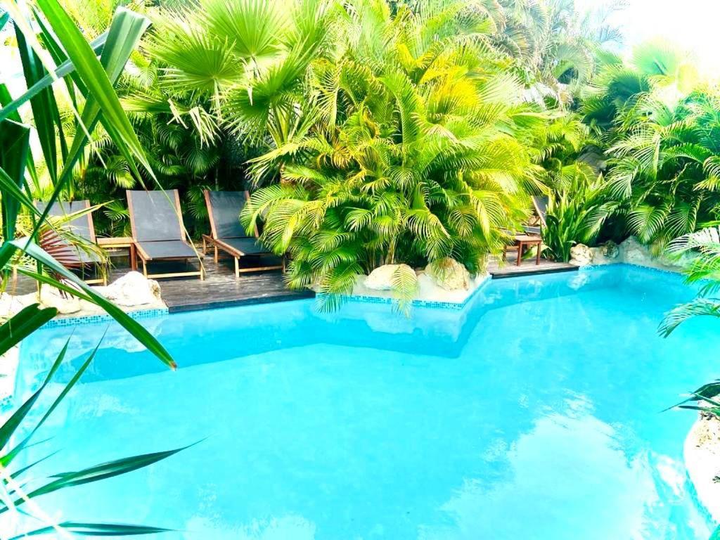New House Tropic Paradise With Pool Willemstad Zewnętrze zdjęcie
